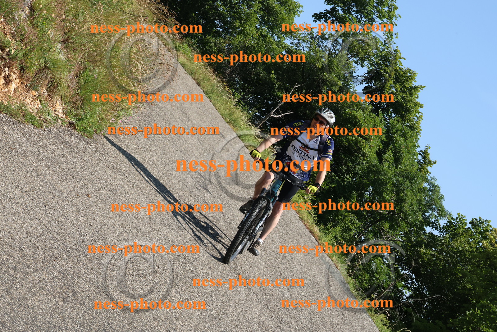 Col du Grand Colombier (260).JPG