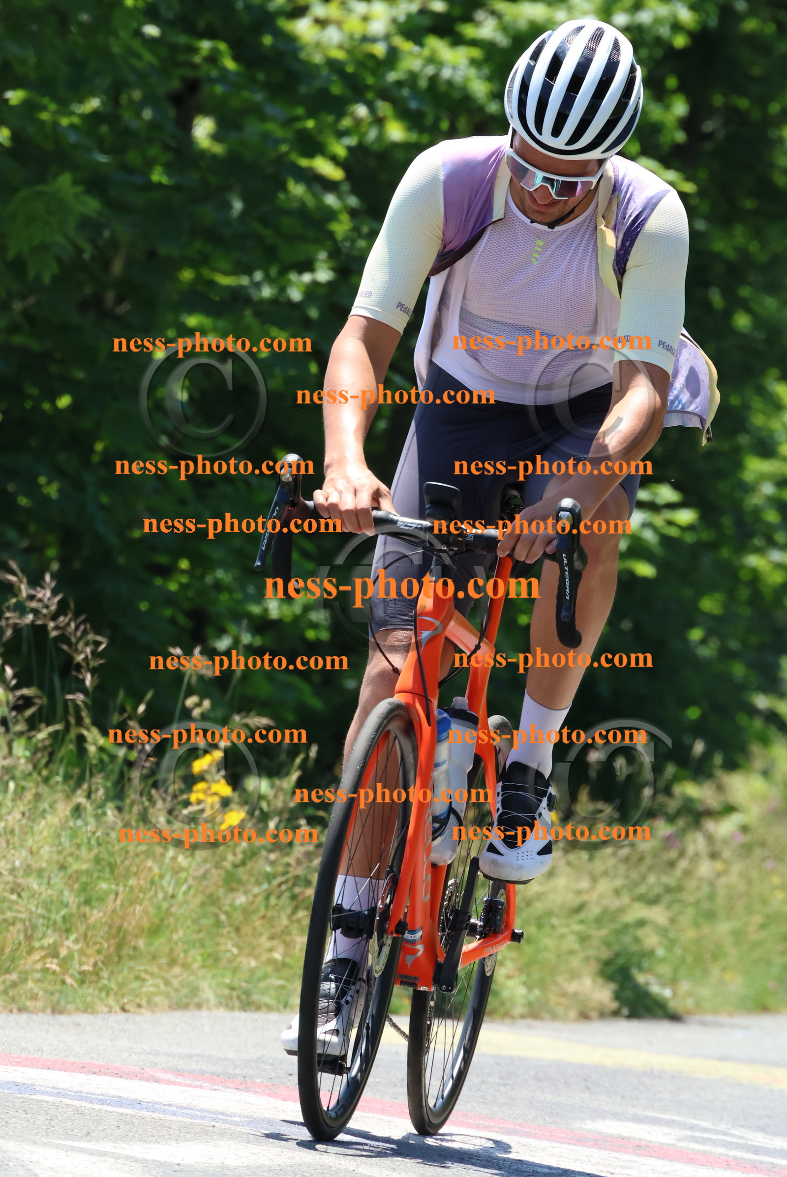 Col du Grand Colombier (113).JPG