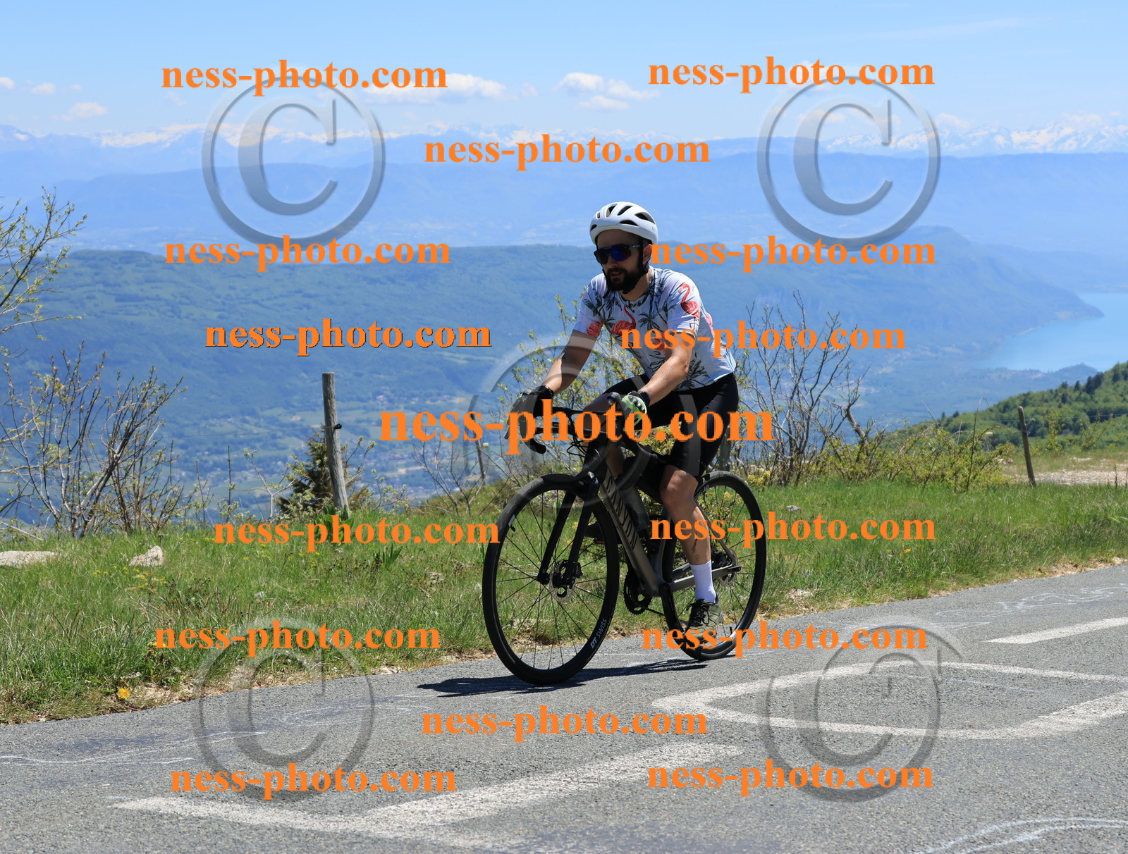 Col du Grand Colombier (422).JPG