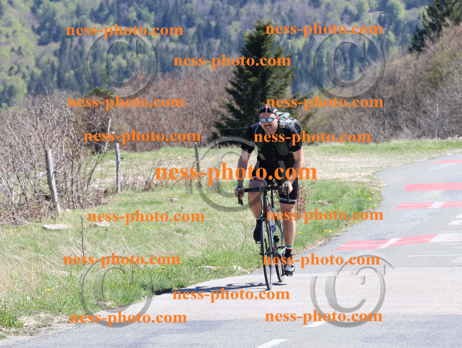 Col du Grand Colombier (969).JPG