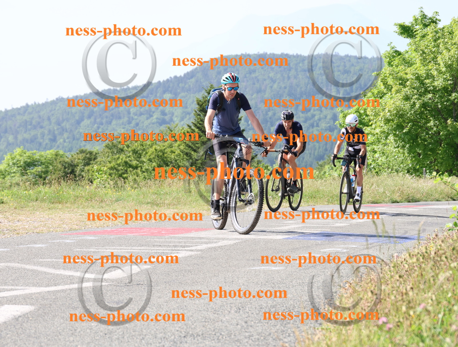 Col du grand Colombier (234).JPG