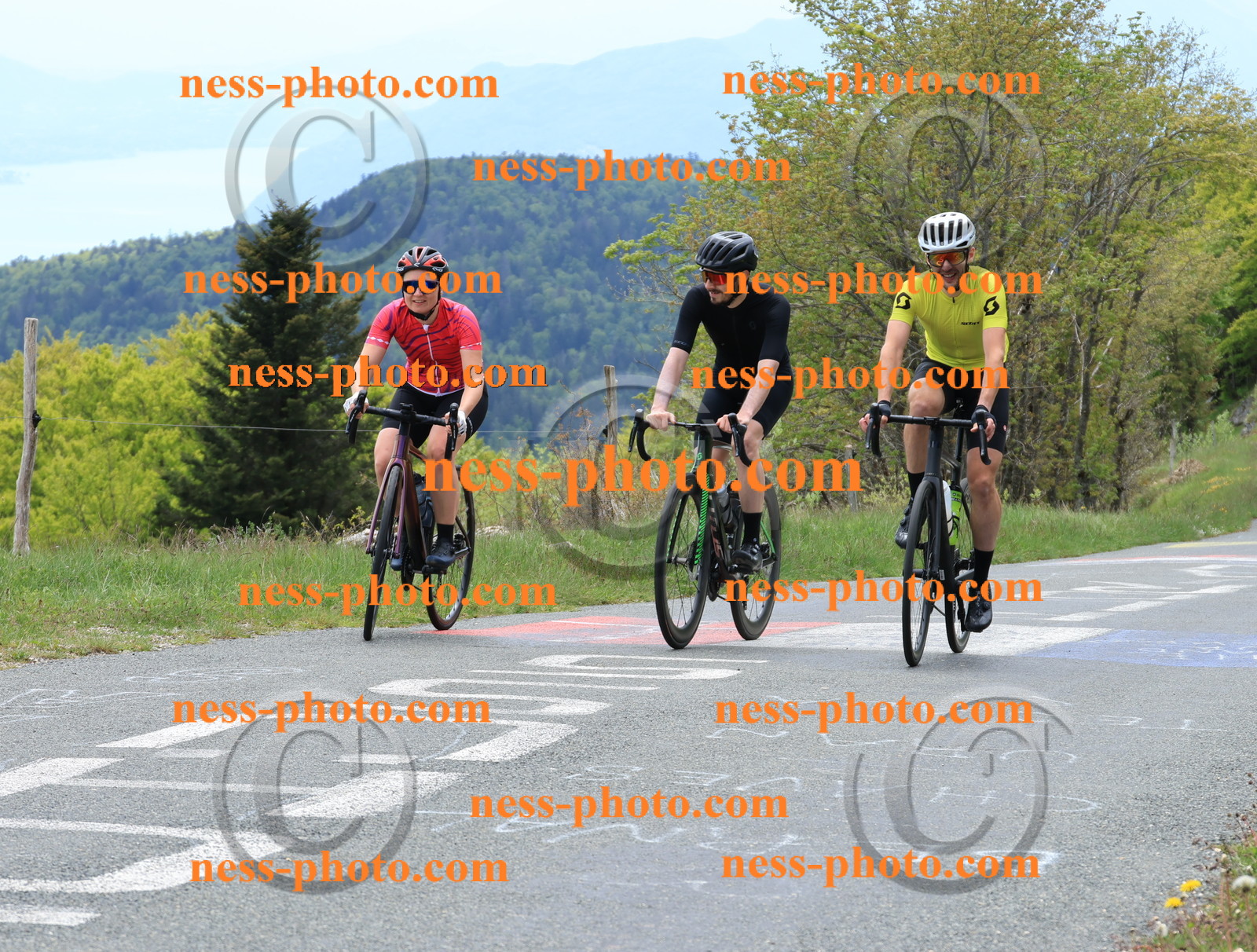 Col du Grand Colombier (449).JPG