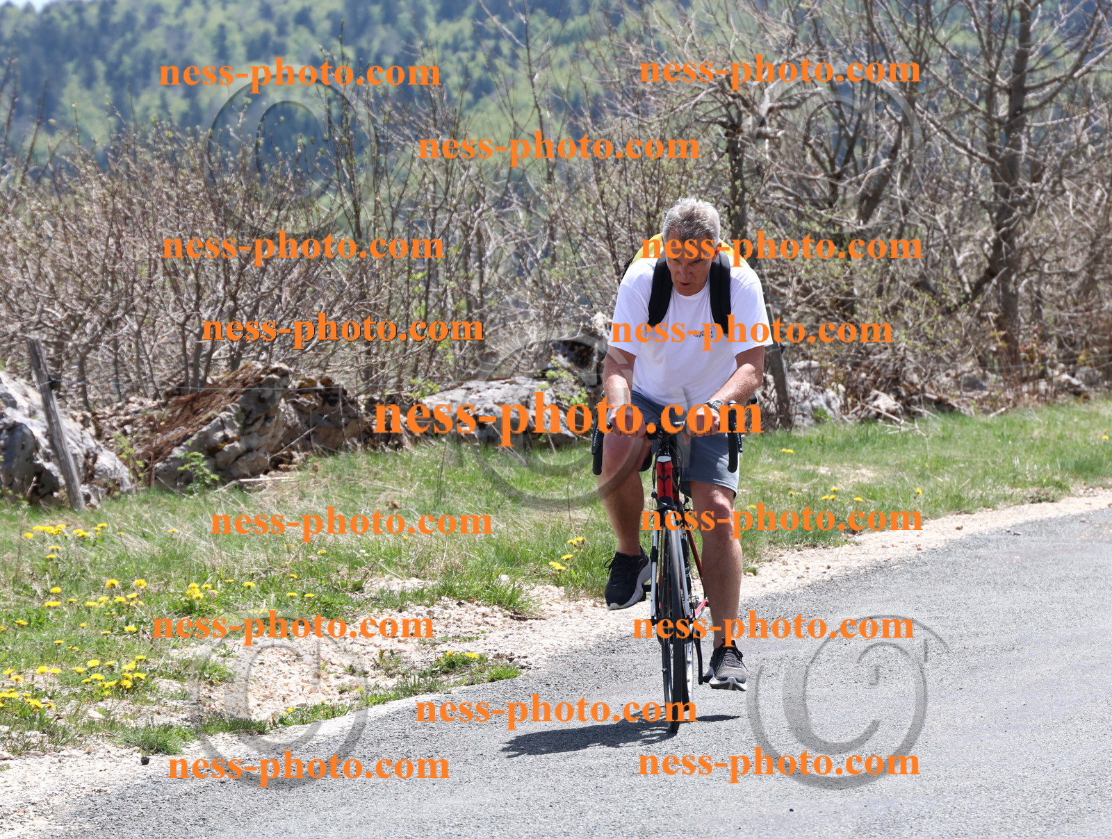 Col du Grand Colombier (776).JPG