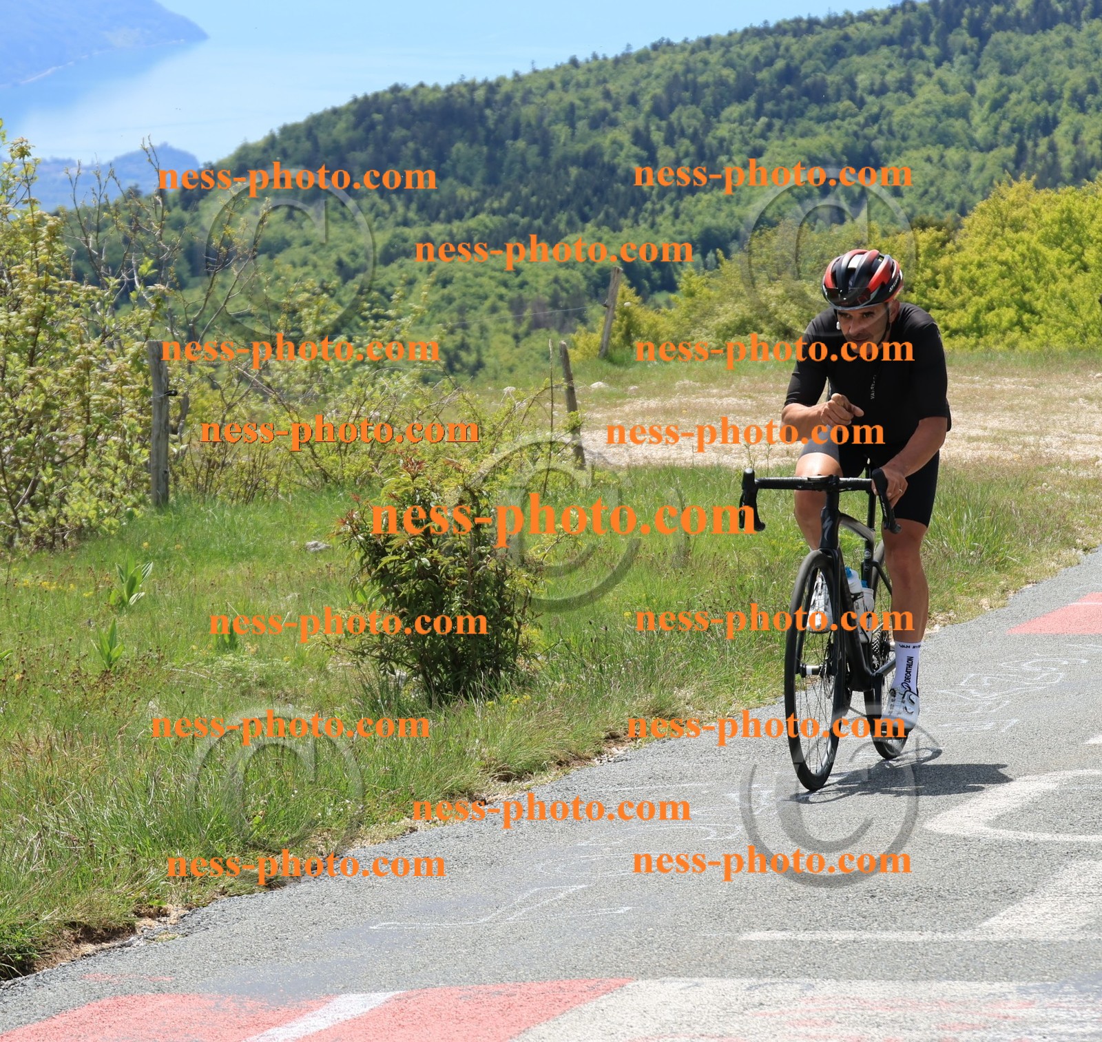 Col du Grand Colombier (303).JPG