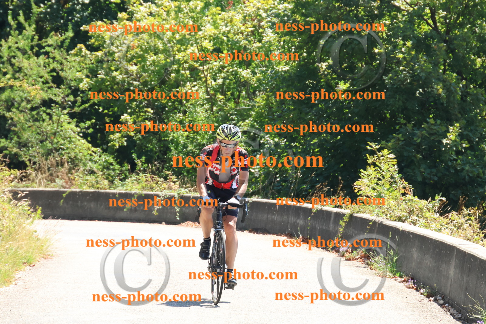 Col du Grand Colombier (212).JPG