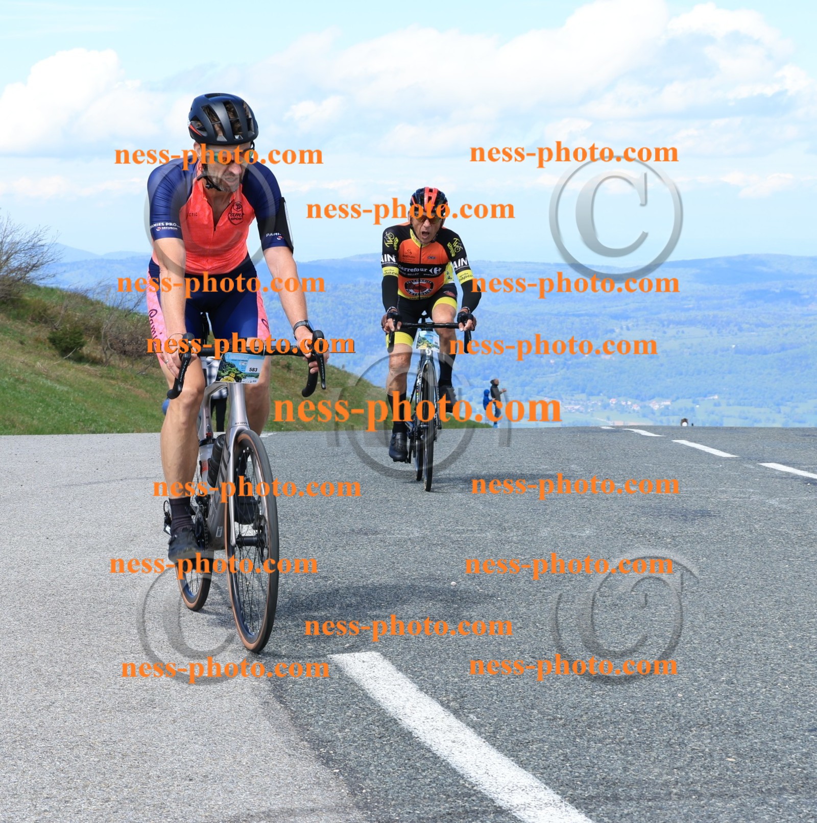 Col du Grand Colombier (925).JPG