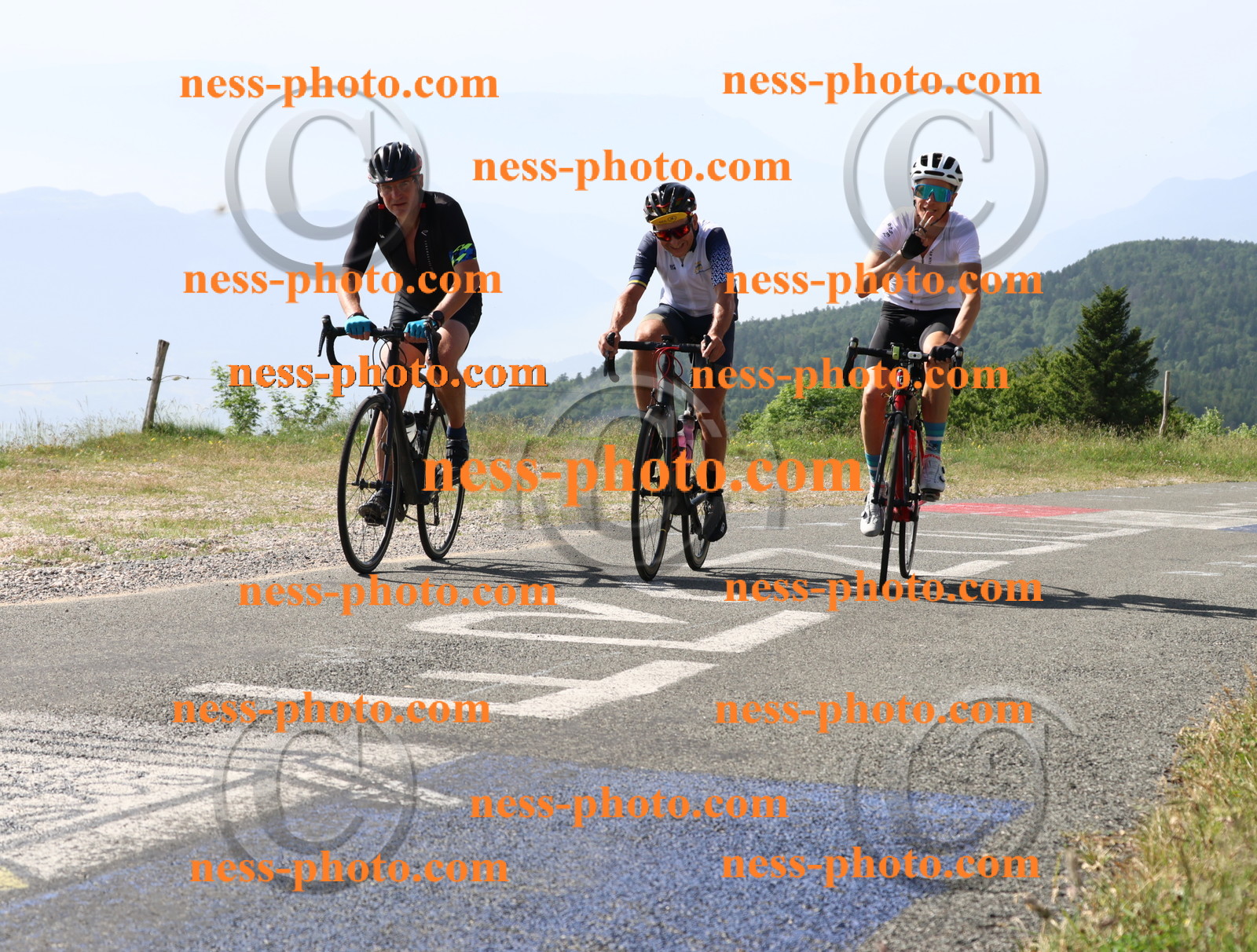 Col du grand Colombier (350).JPG