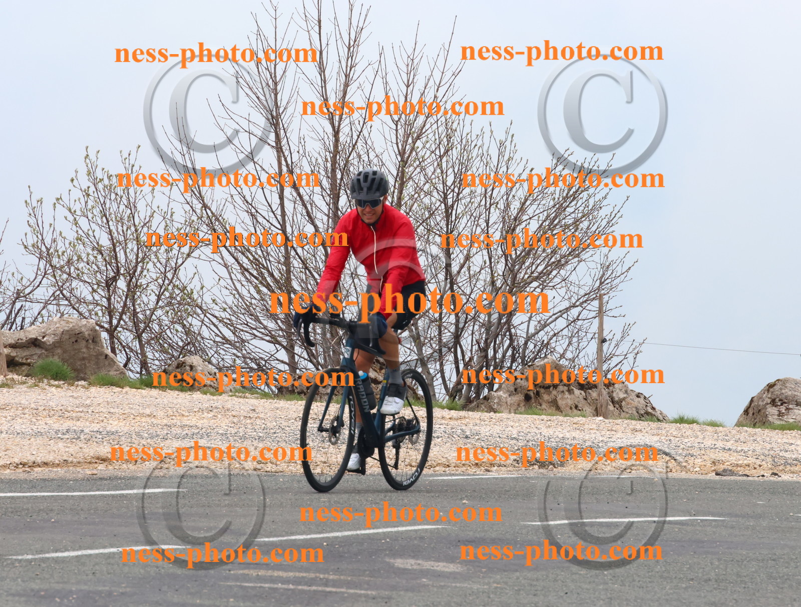 Col du Grand Colombier (490).JPG