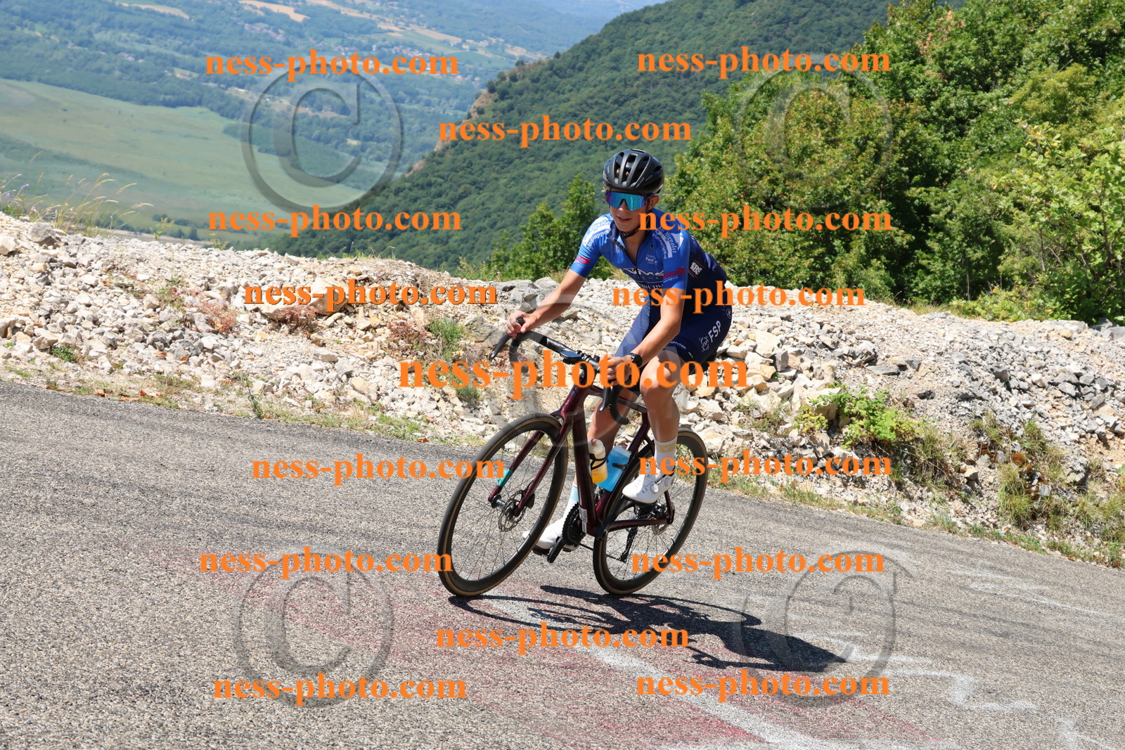 Col du Grand Colombier (2538).JPG