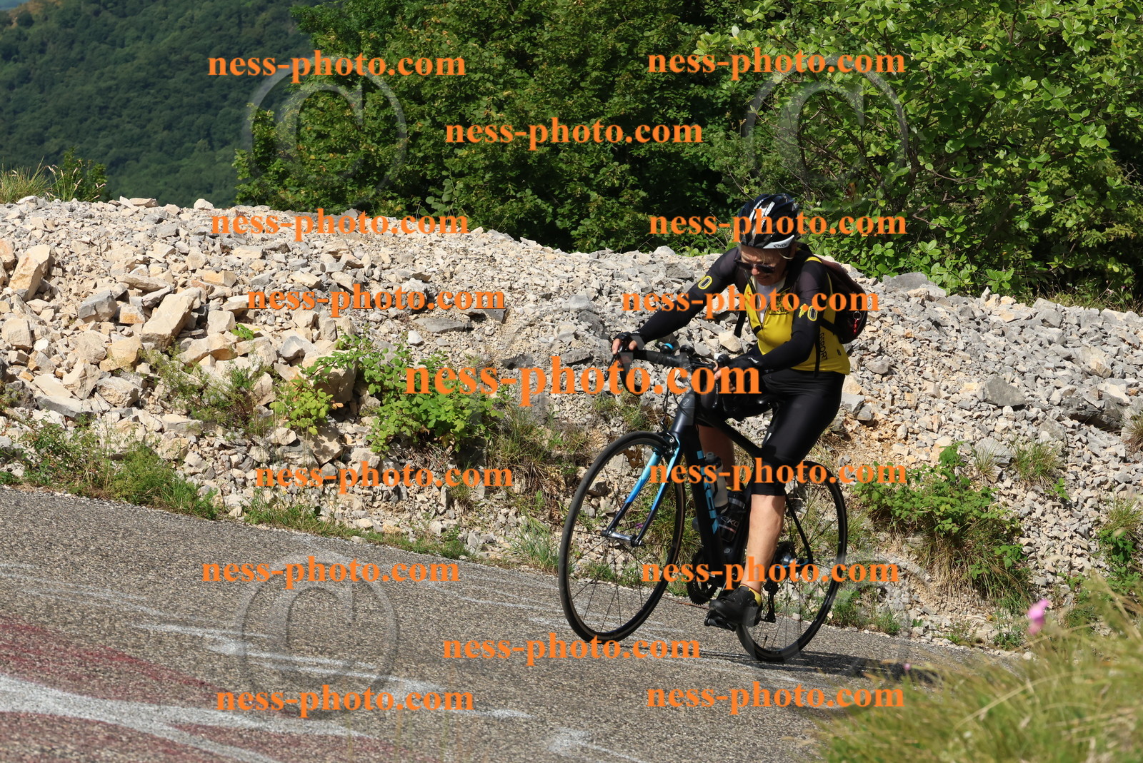 Col du Grand Colombier (85).JPG