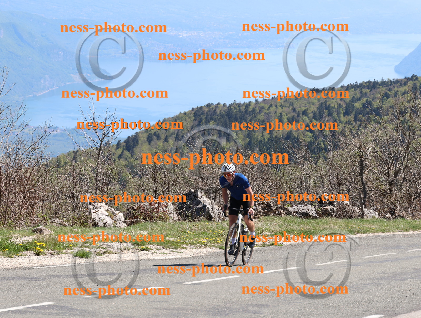 Col du Grand Colombier (908).JPG