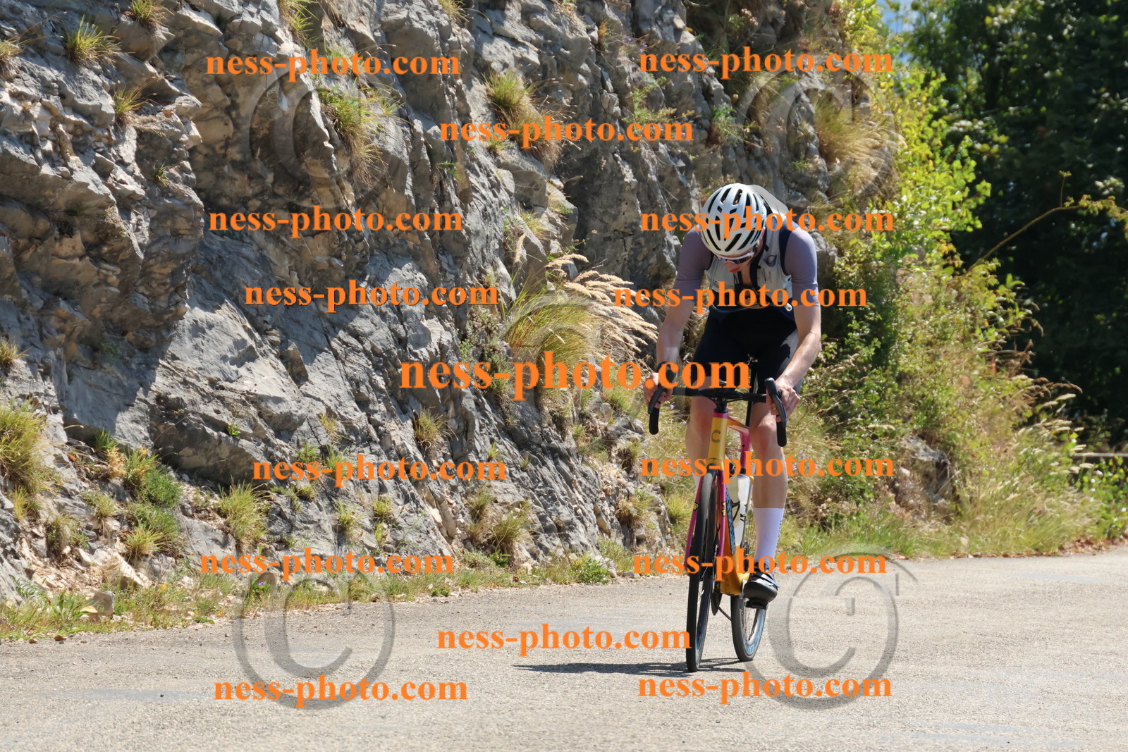 Col du Grand Colombier (259).JPG