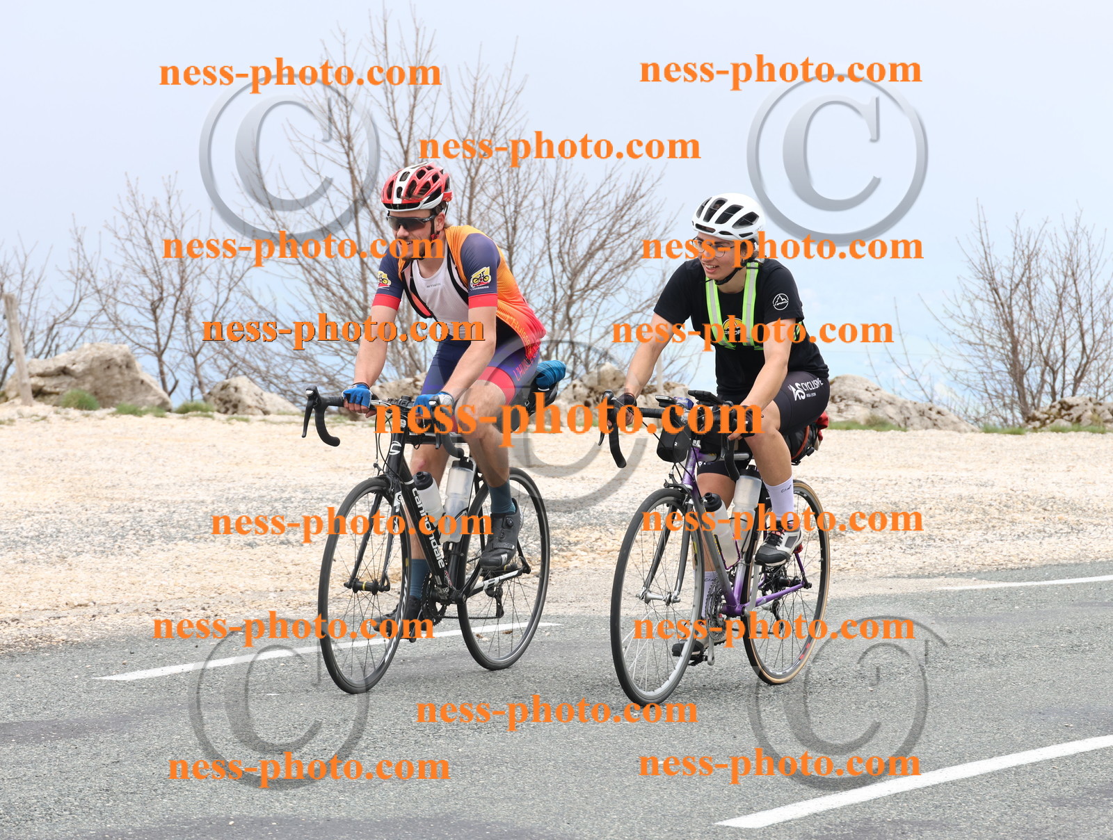 Col du Grand Colombier (121).JPG