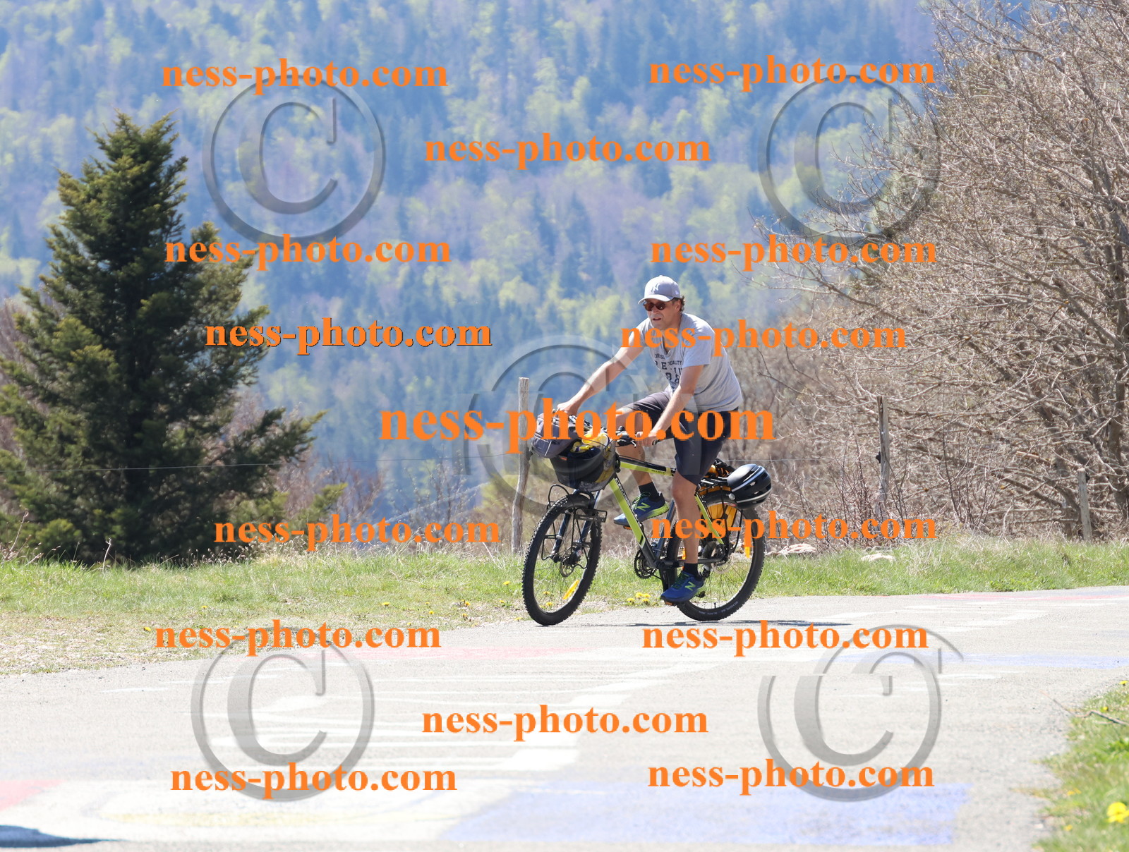 Col du Grand Colombier (223).JPG