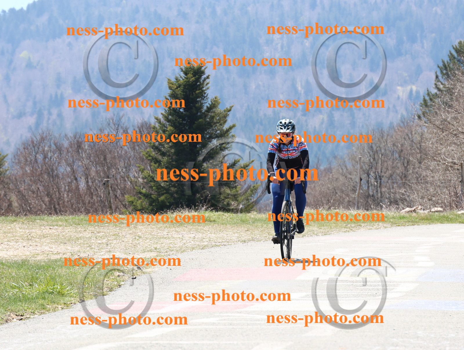 Col du Grand Colombier (241).JPG