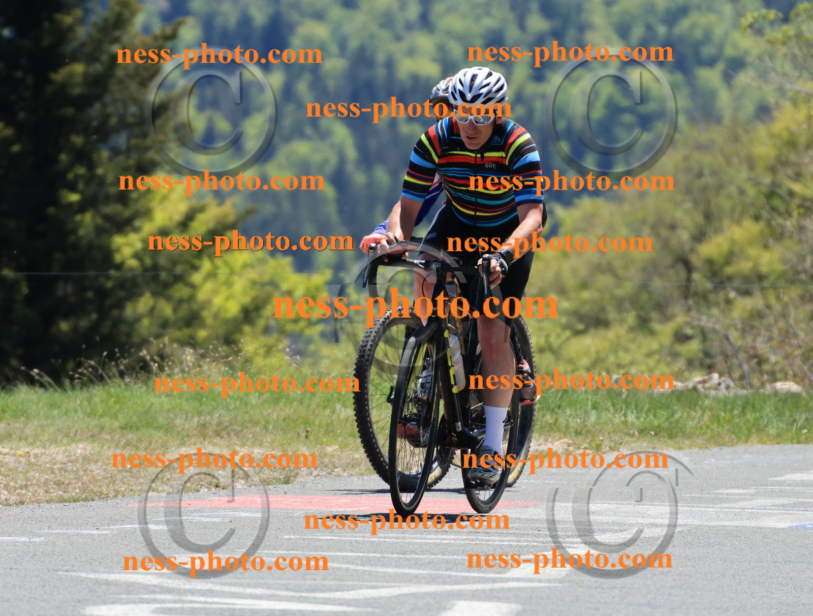 Col du Grand Colombier (426).JPG