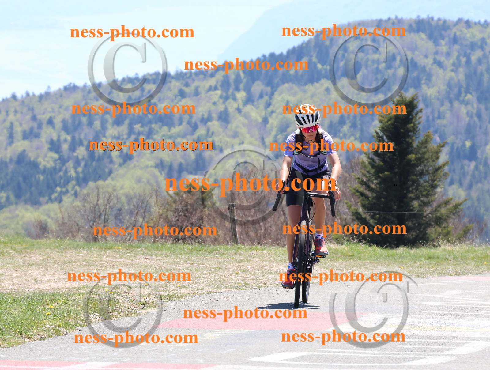 Col du Grand Colombier (575).JPG