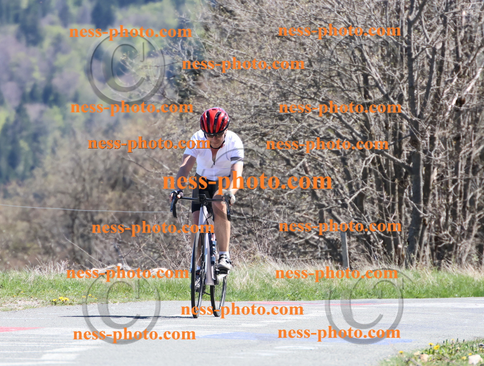 Col du Grand Colombier (983).JPG