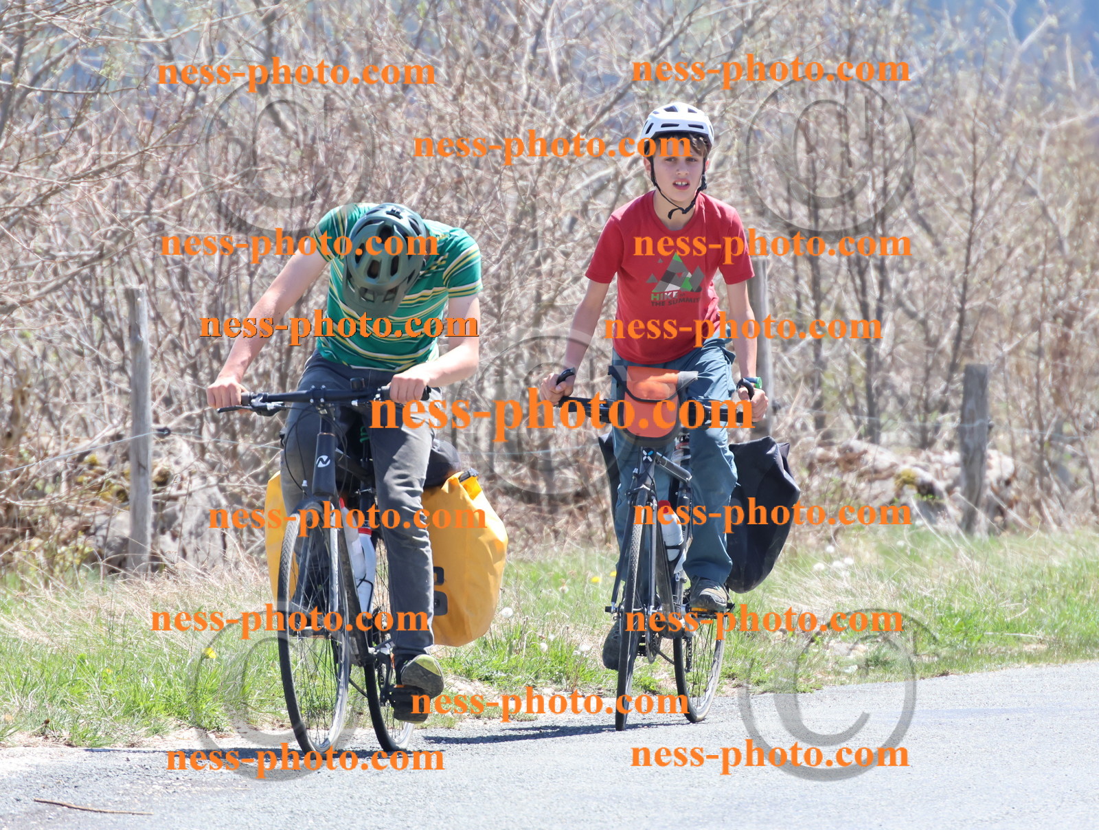 Col du Grand Colombier (813).JPG