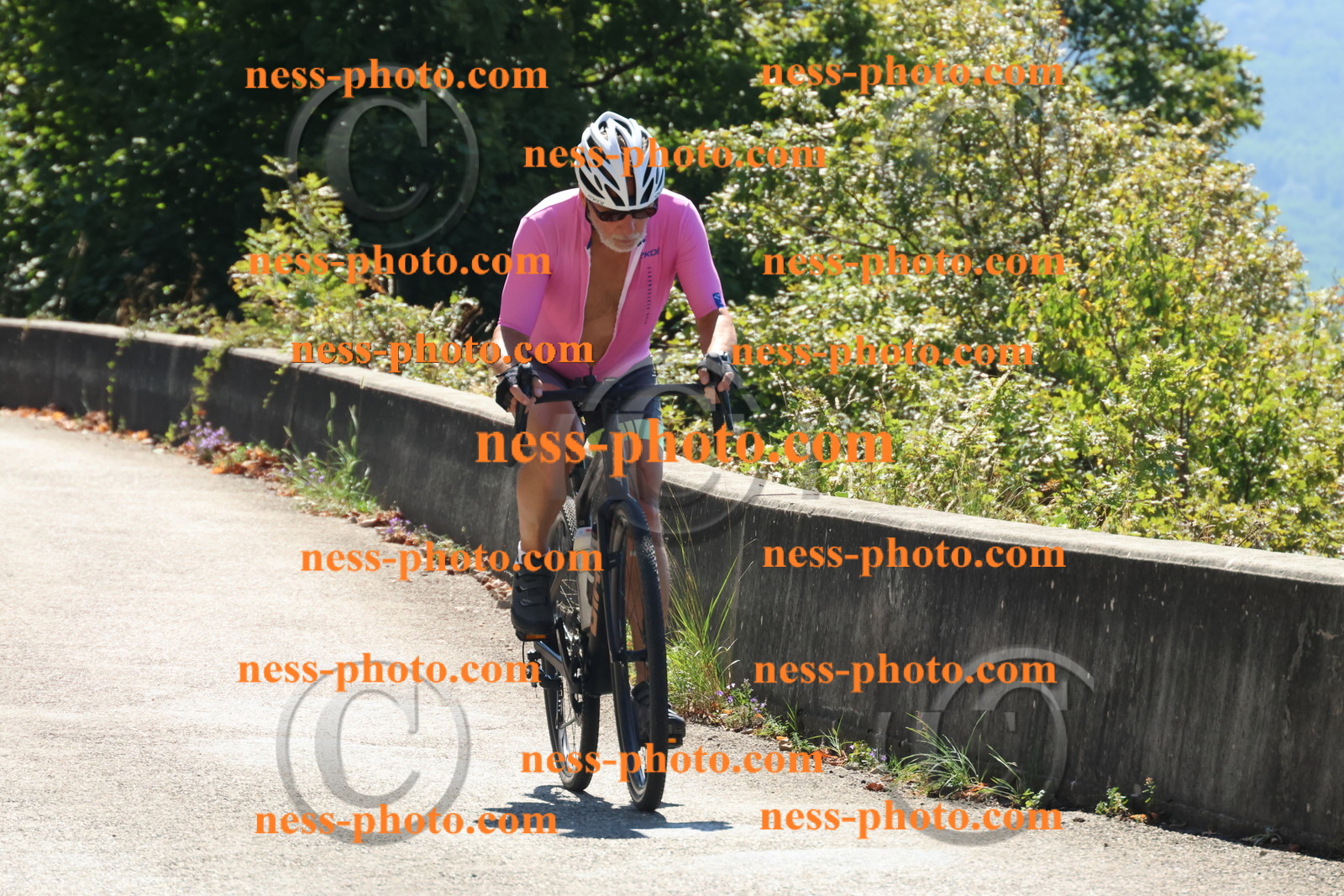 Col du Grand Colombier (95).JPG