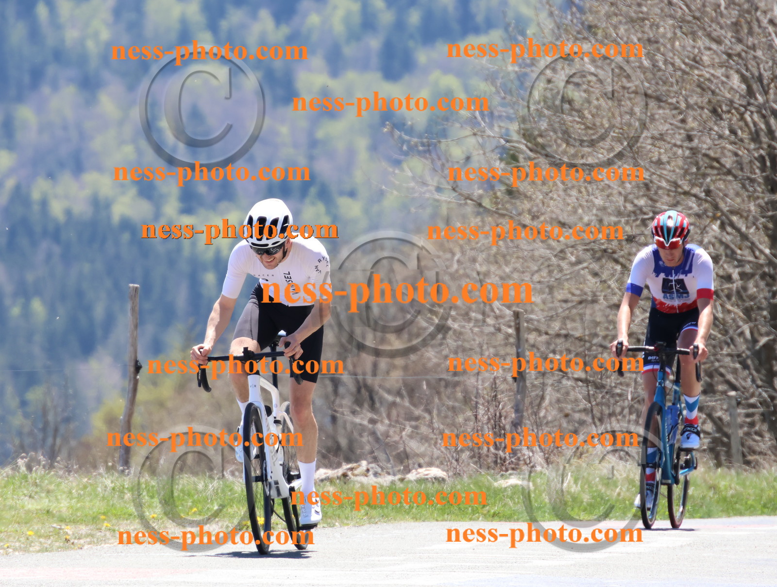 Col du Grand Colombier (548).JPG