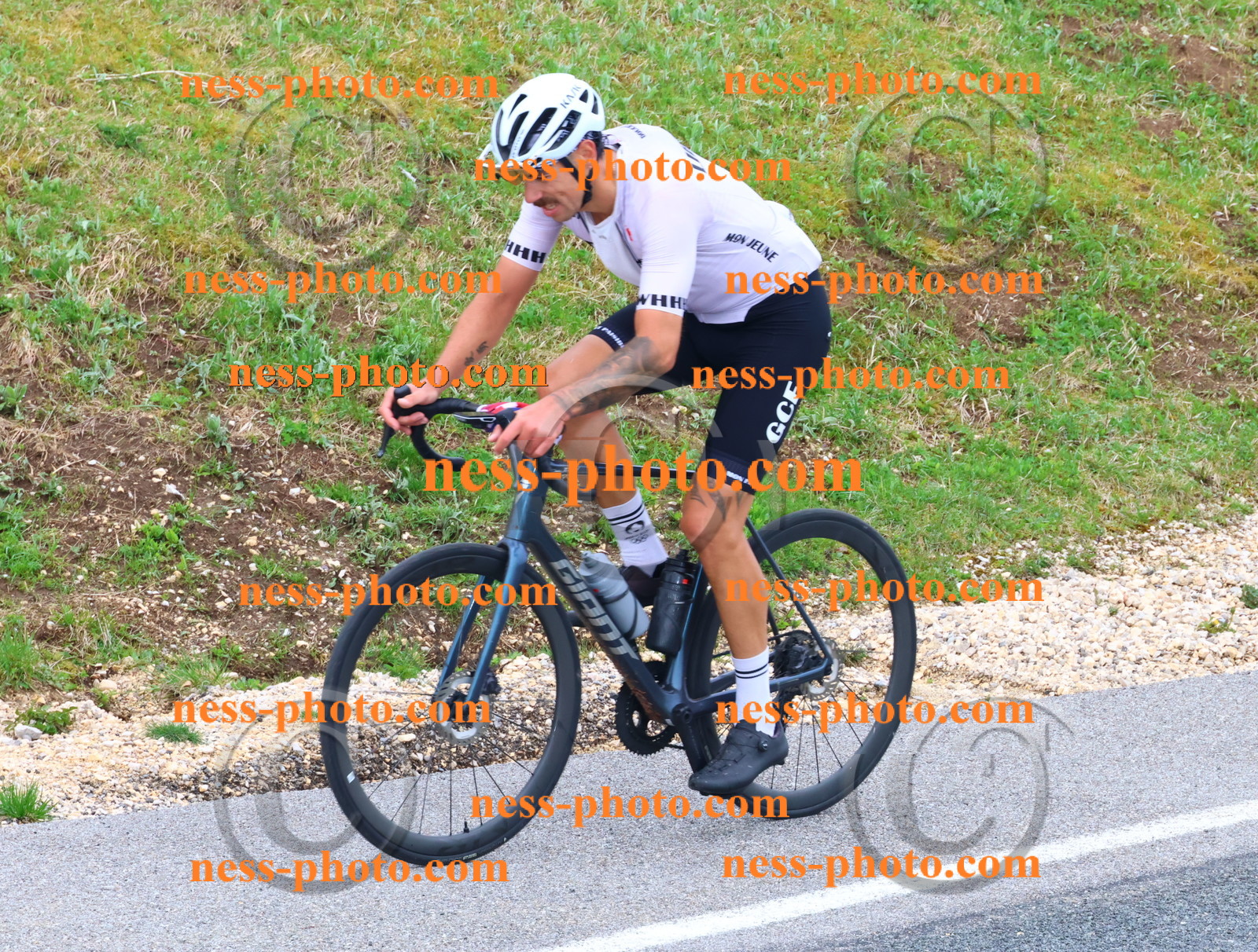 Col du Grand Colombier (398).JPG