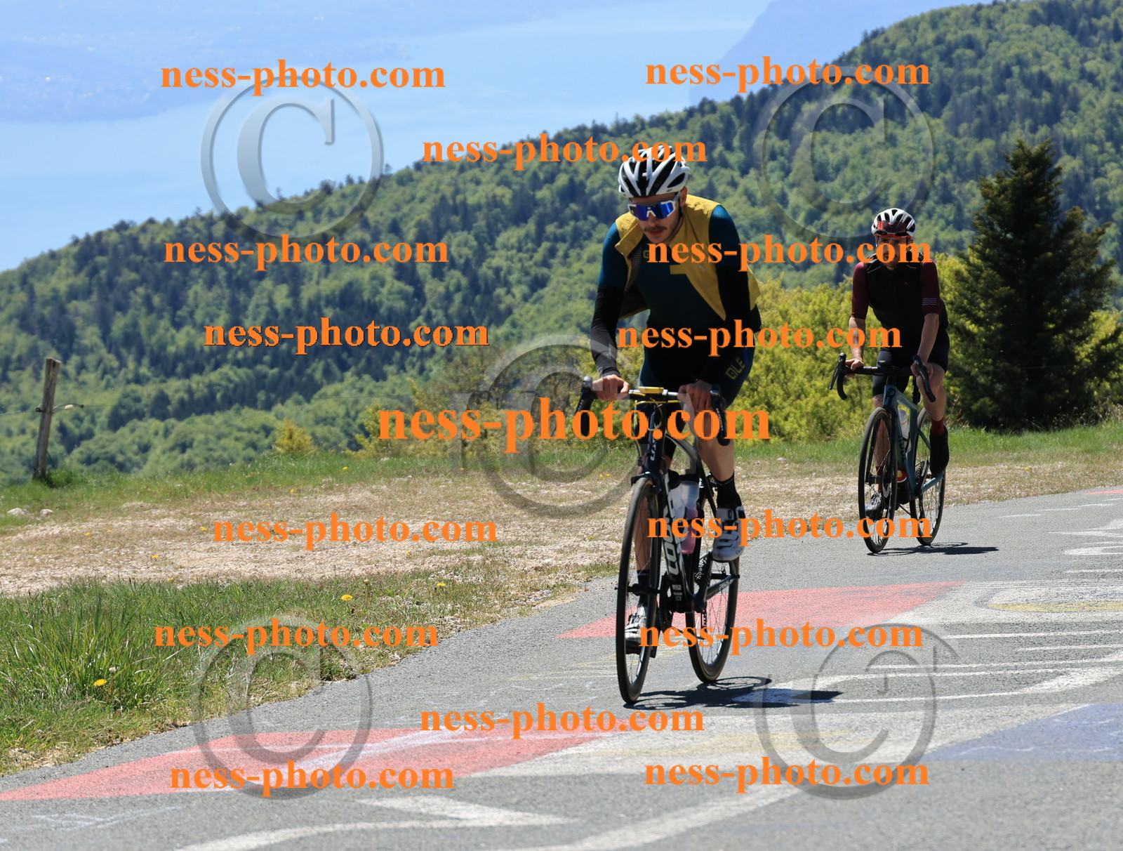 Col du Grand Colombier (213).JPG