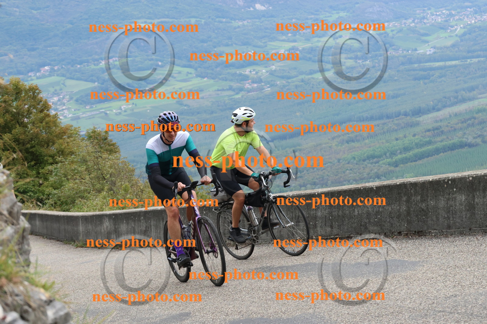 Col du Grand Colombier (920).JPG