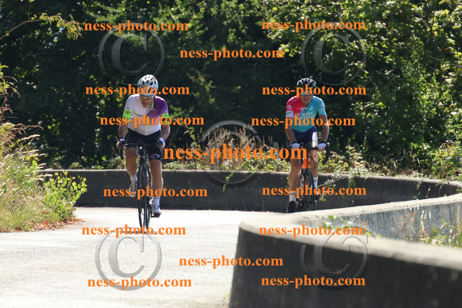 Col du Grand Colombier (33).JPG