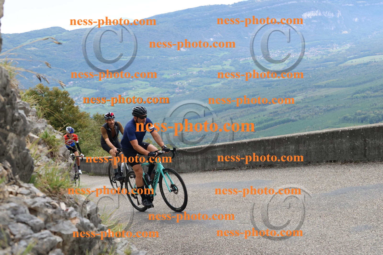 Col du Grand Colombier (520).JPG