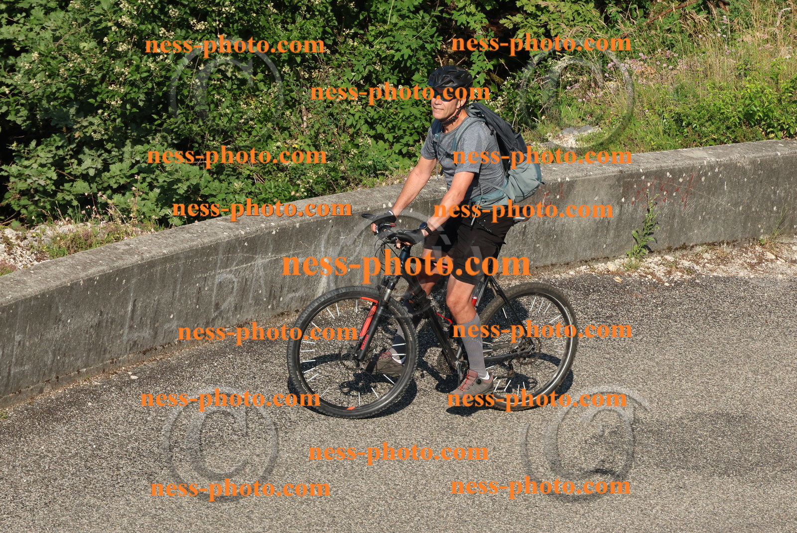 Col du Grand Colombier (115).JPG