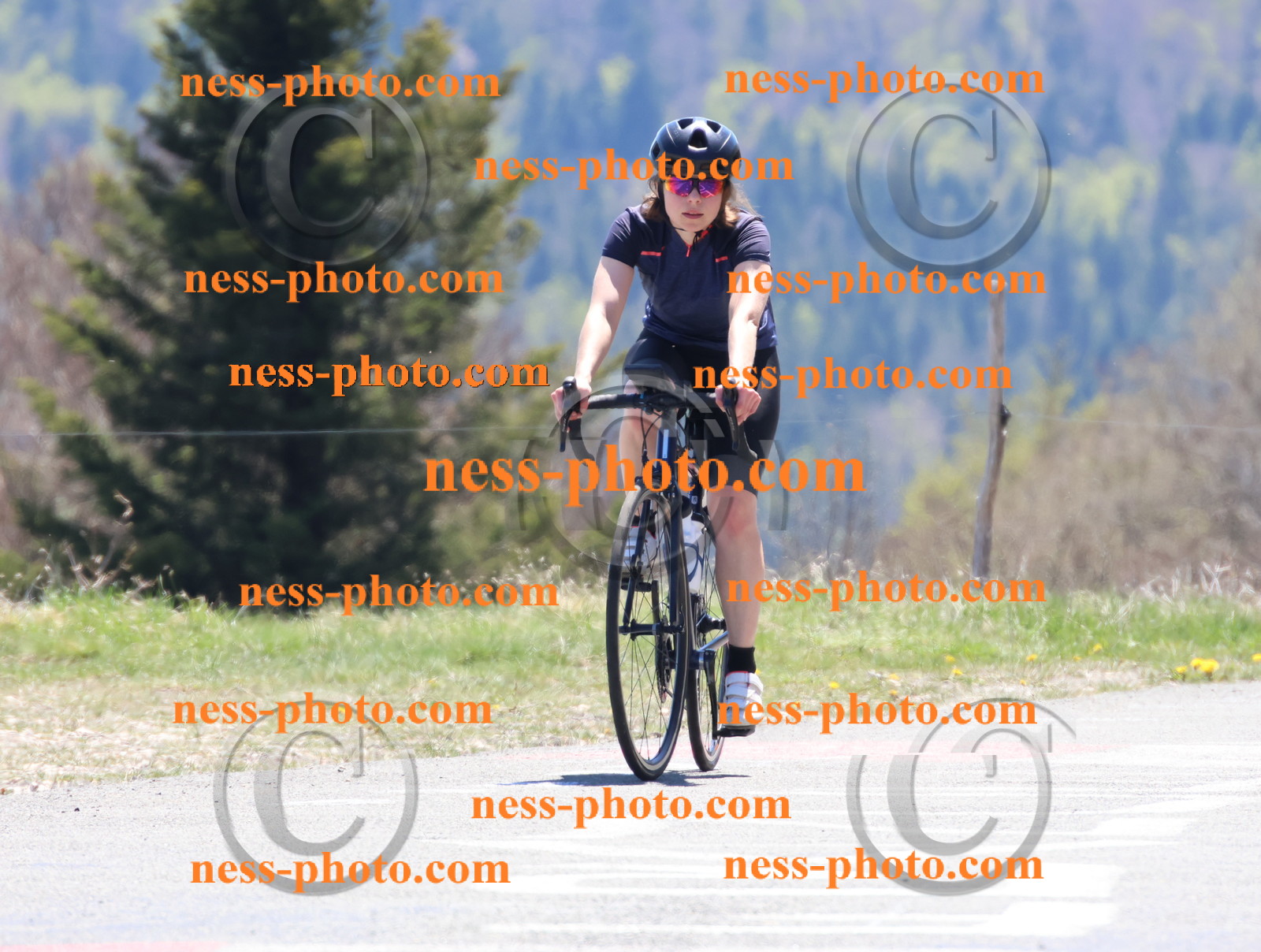 Col du Grand Colombier (653).JPG