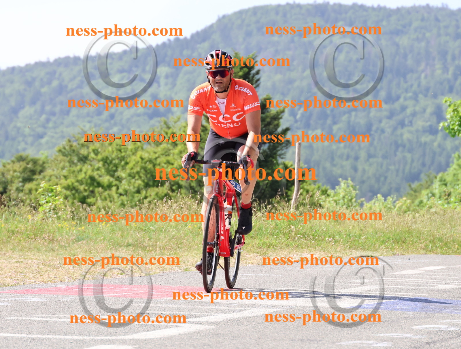 Col du grand Colombier (629).JPG