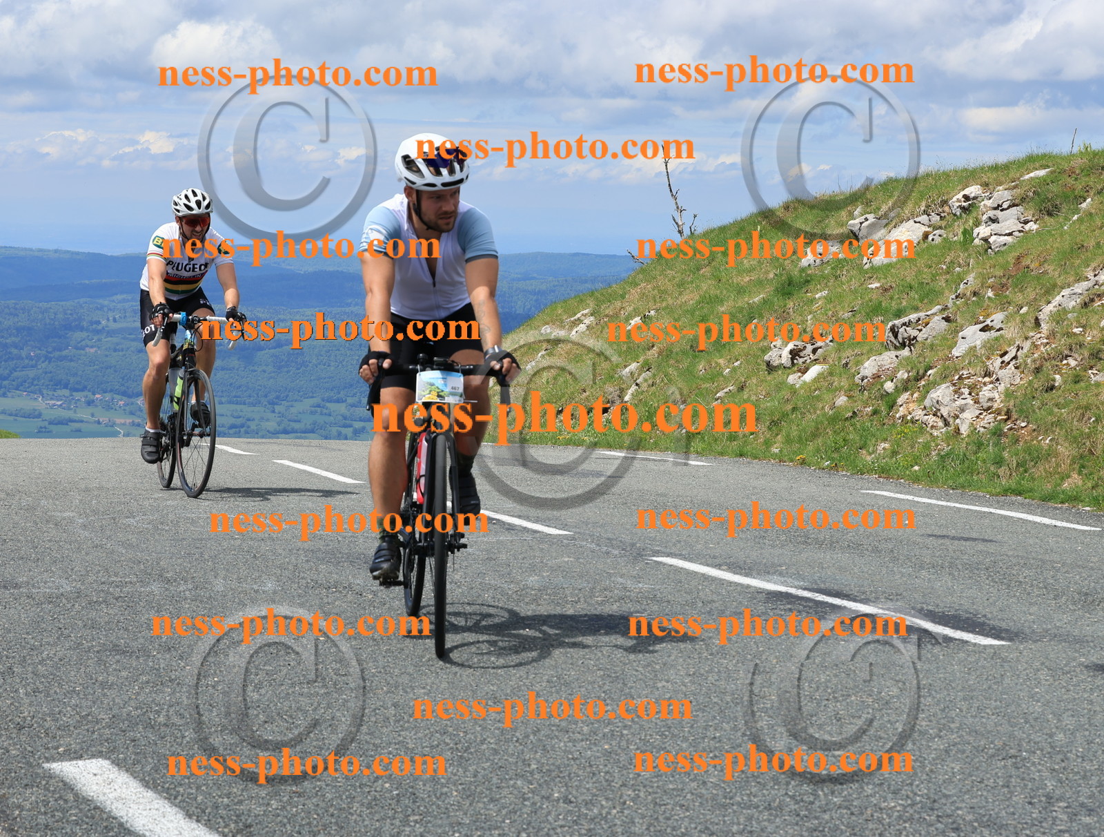 Col du Grand Colombier (2817).JPG