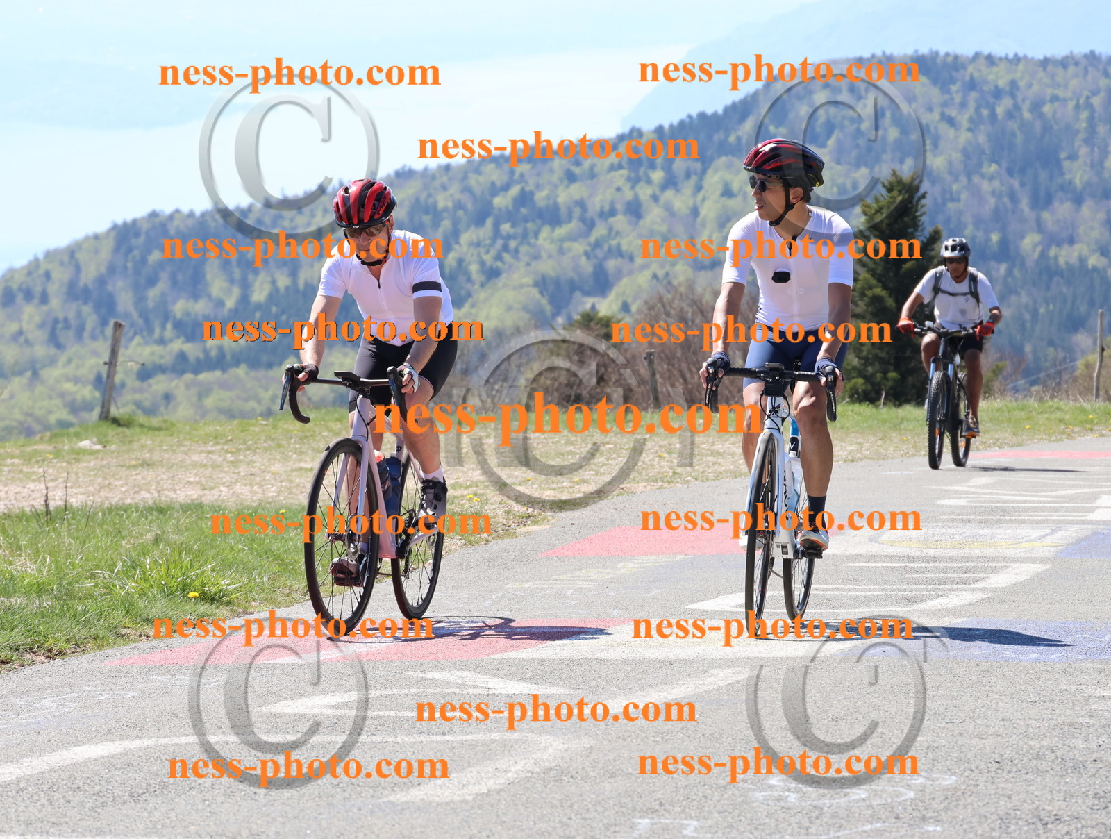Col du Grand Colombier (152).JPG