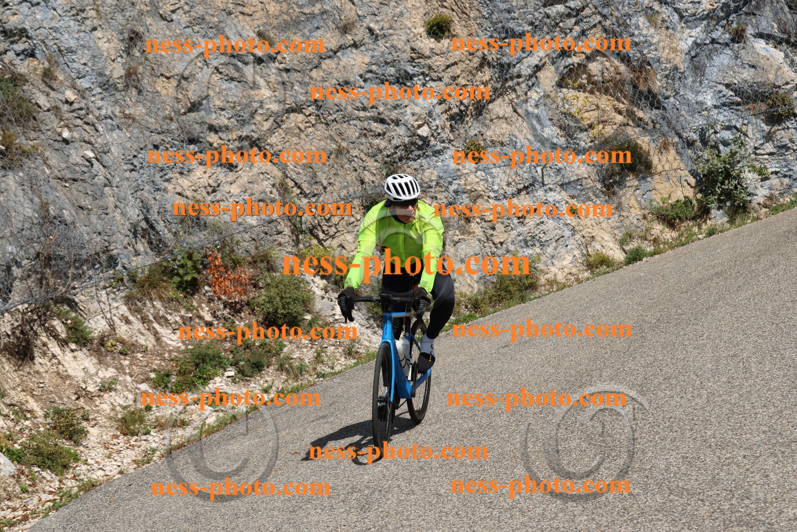 Col du Grand Colombier (460).JPG