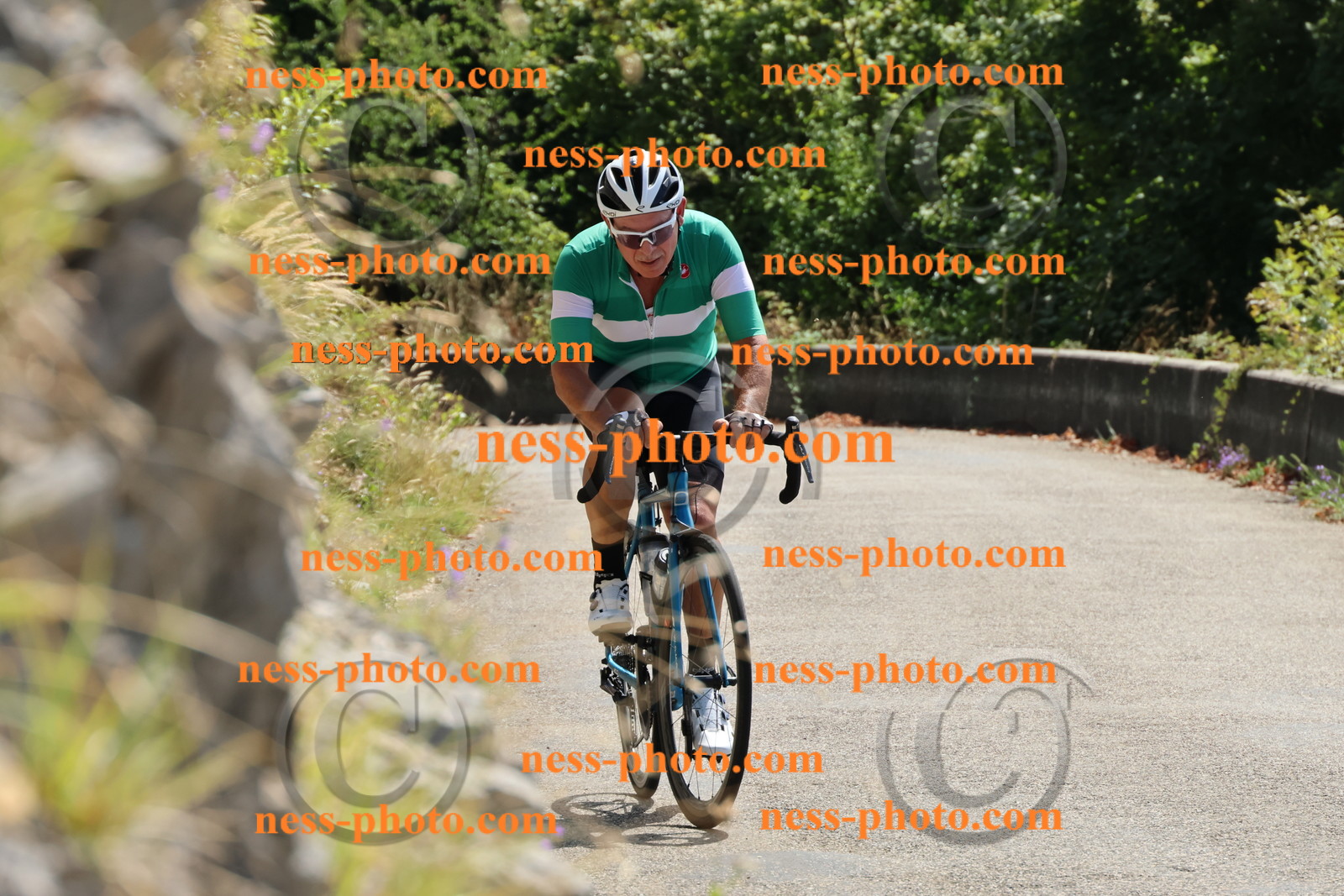 Col du Grand Colombier (276).JPG