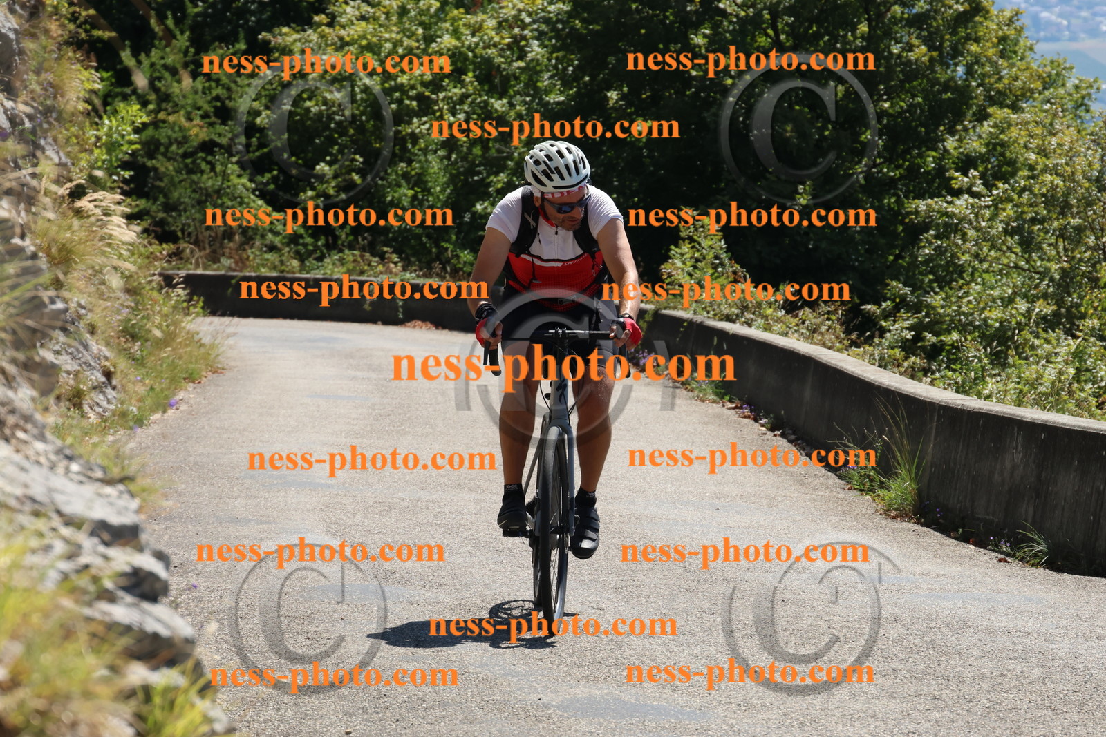 Col du Grand Colombier (199).JPG