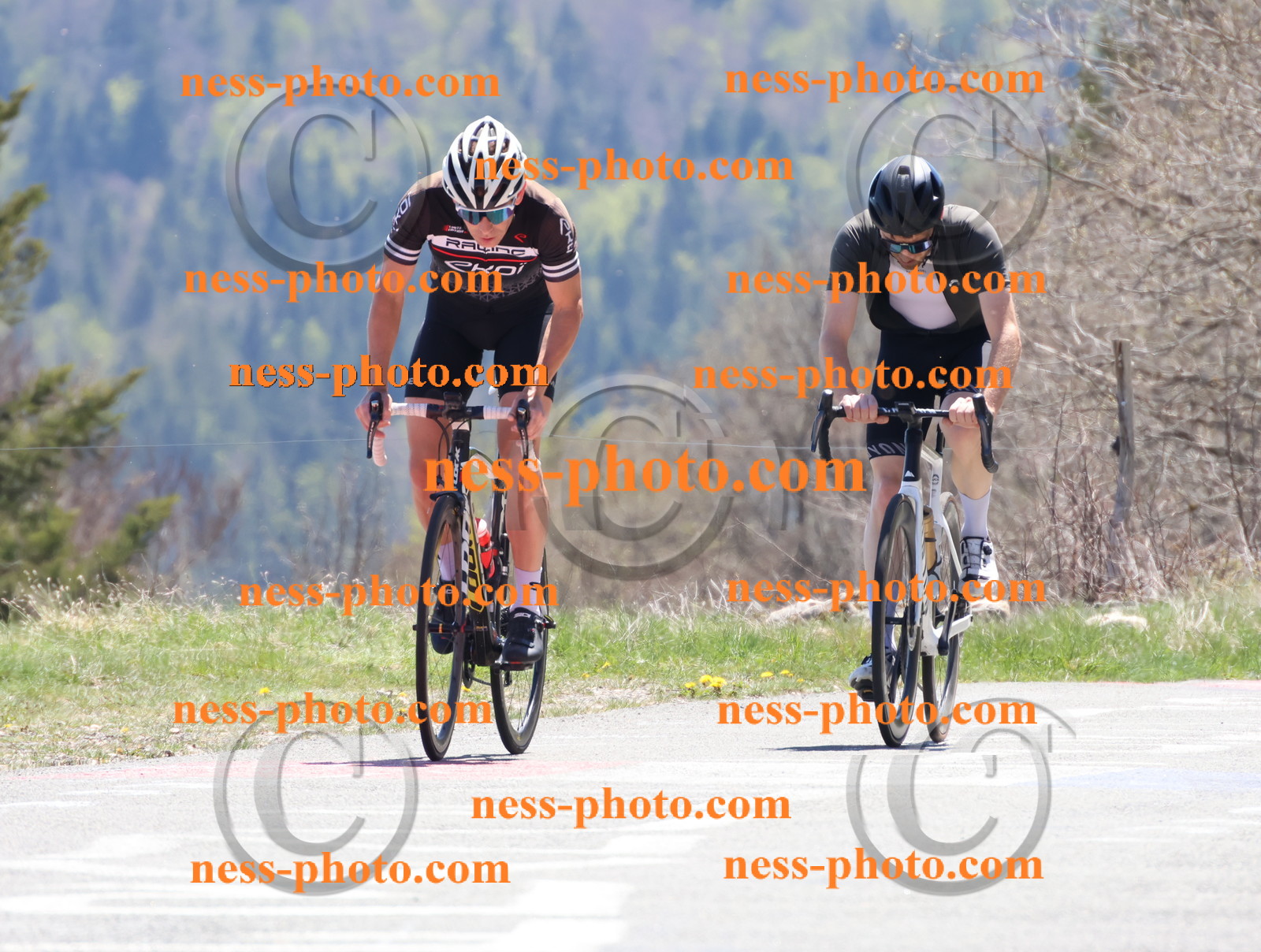 Col du Grand Colombier (691).JPG