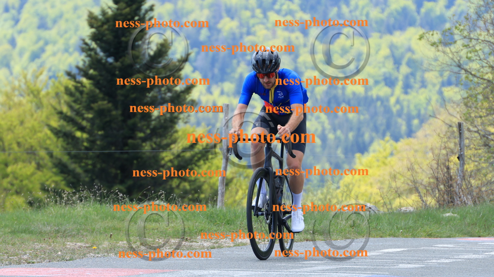 Col du grand Colombier (200).JPG