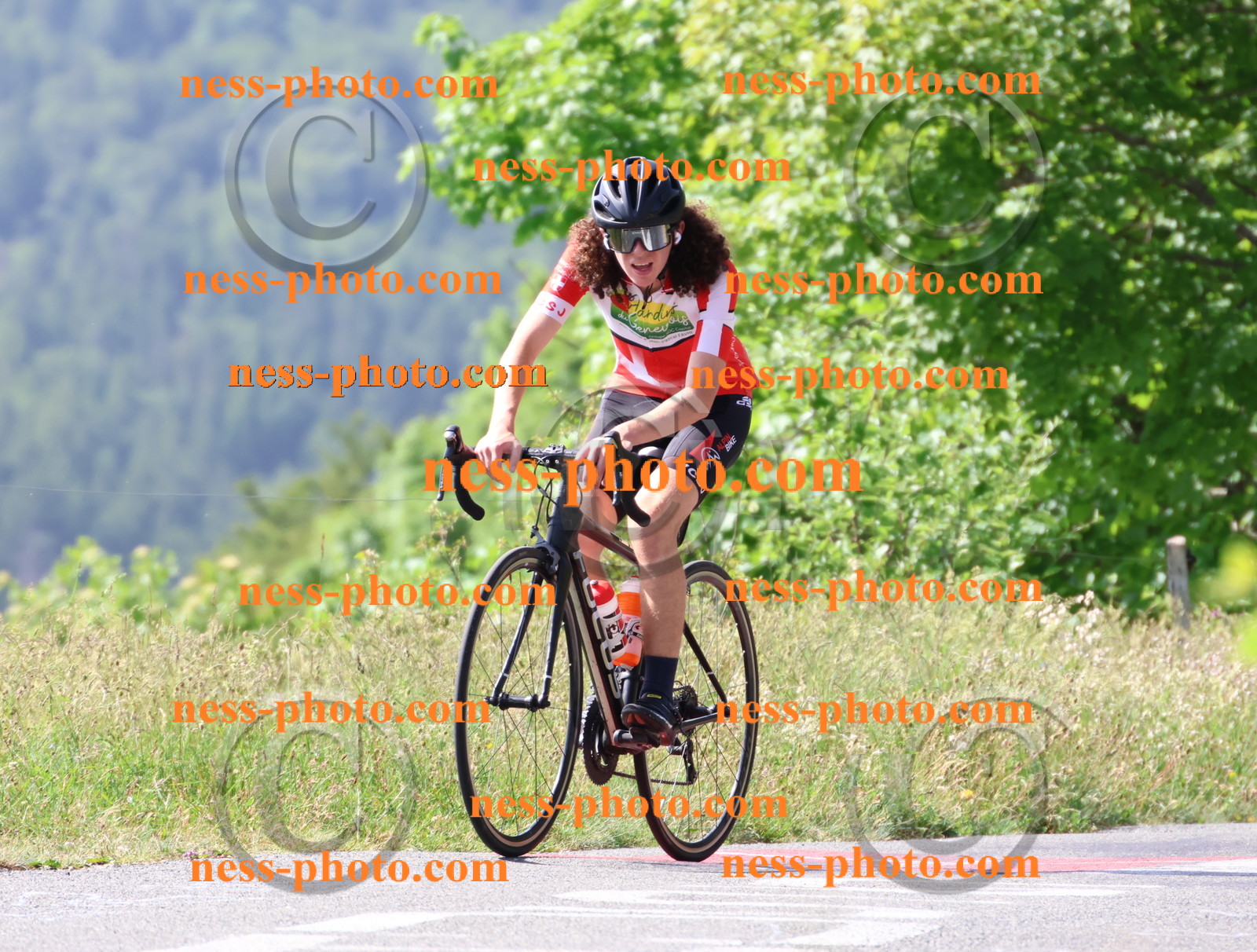 Col du grand Colombier (692).JPG