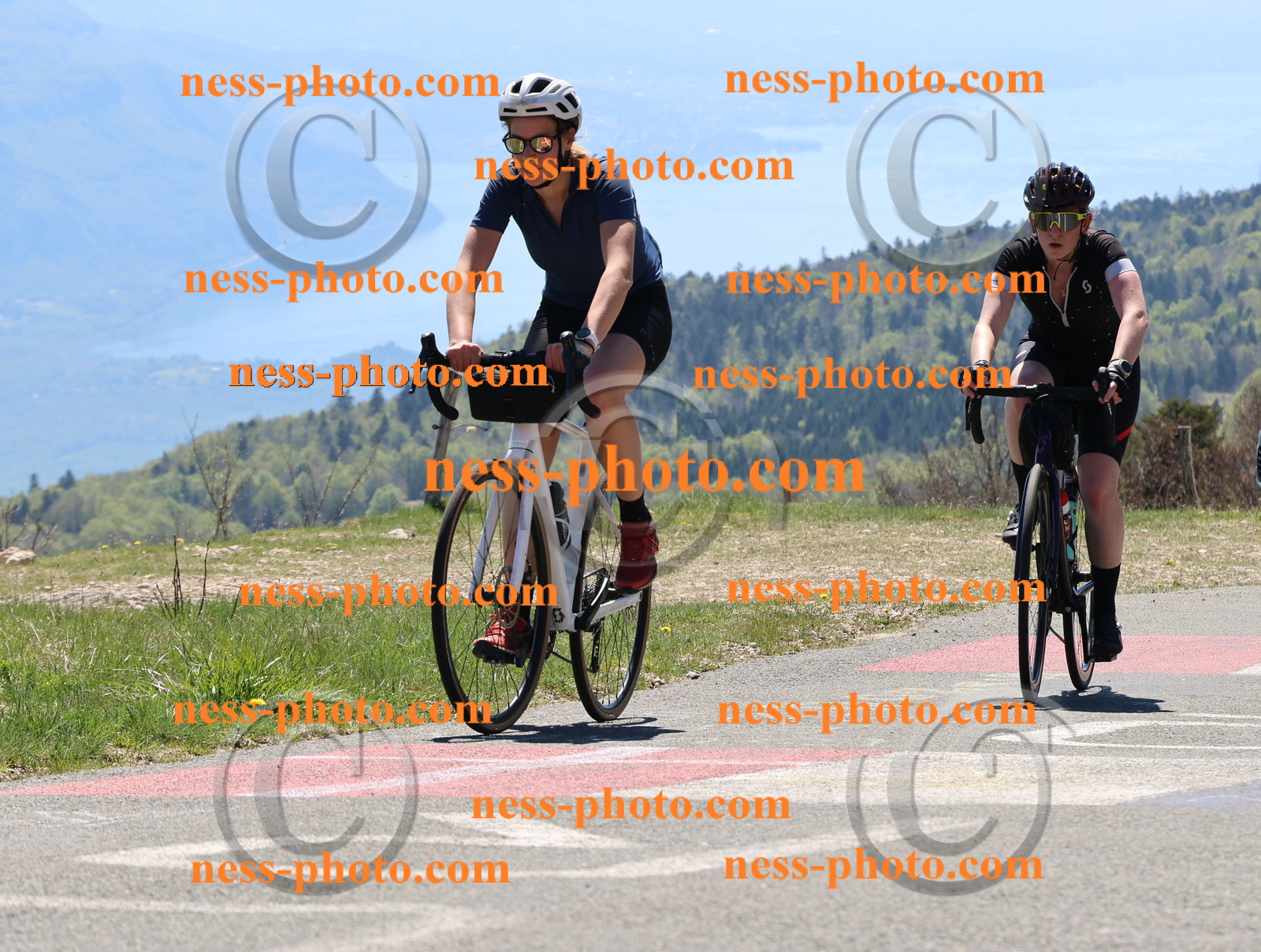 Col du Grand Colombier (408).JPG