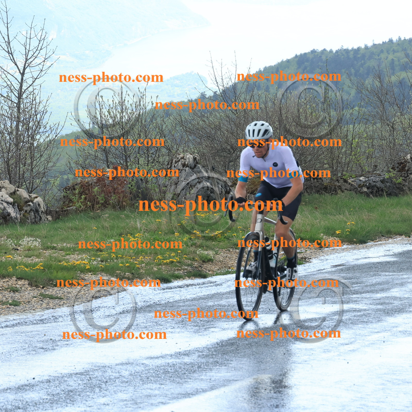 Col du Grand Colombier (242).JPG