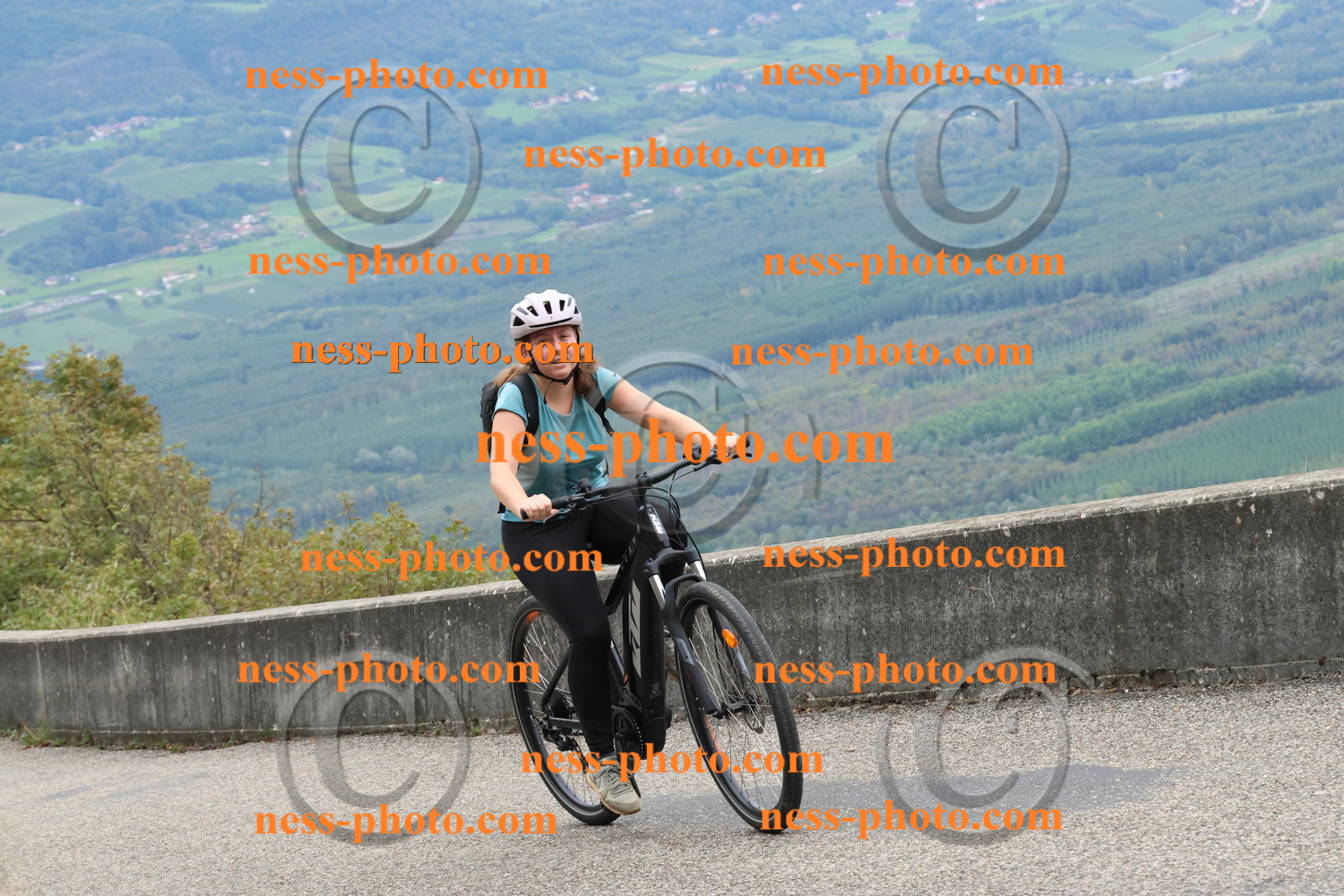 Col du Grand Colombier (2174).JPG