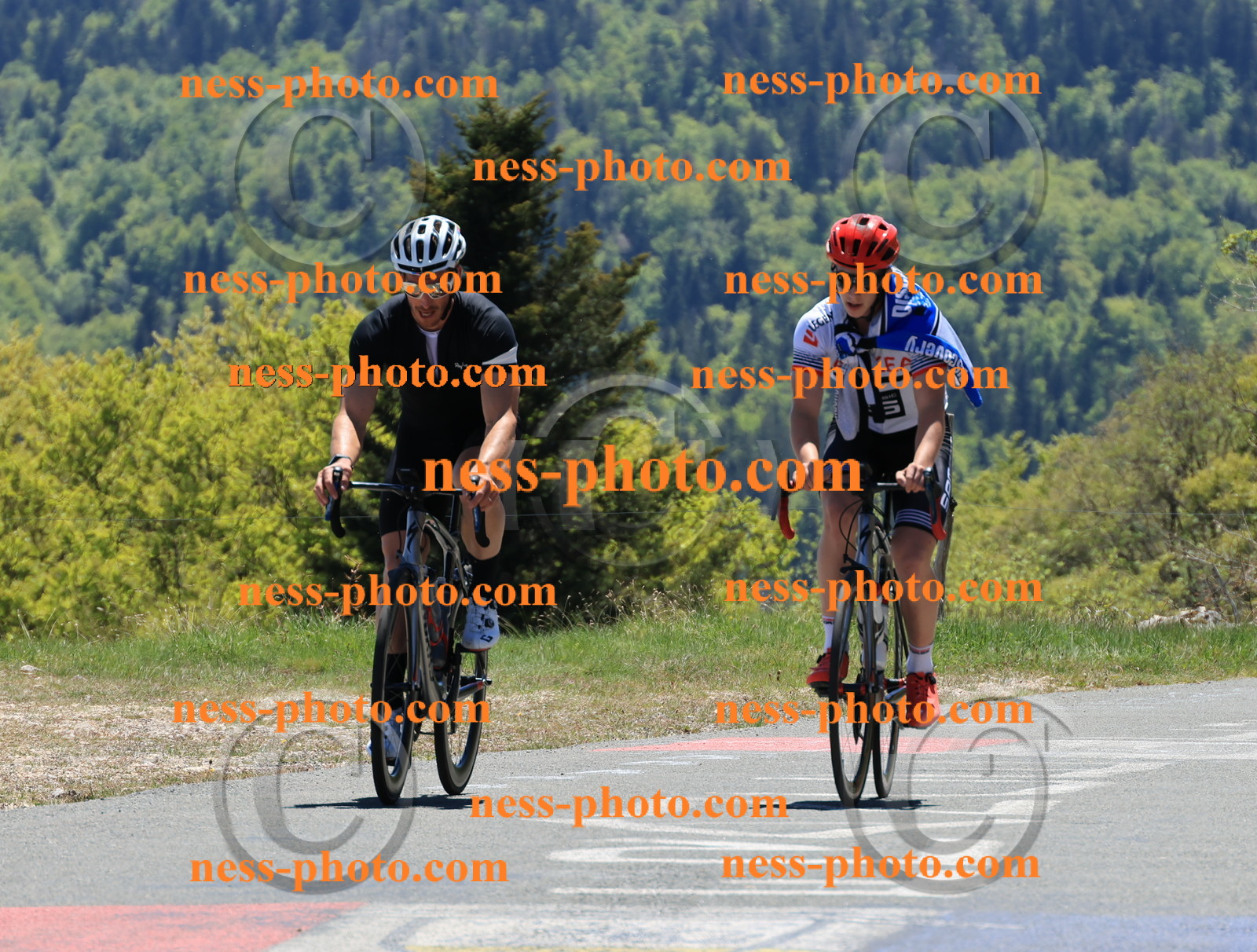 Col du Grand Colombier (382).JPG