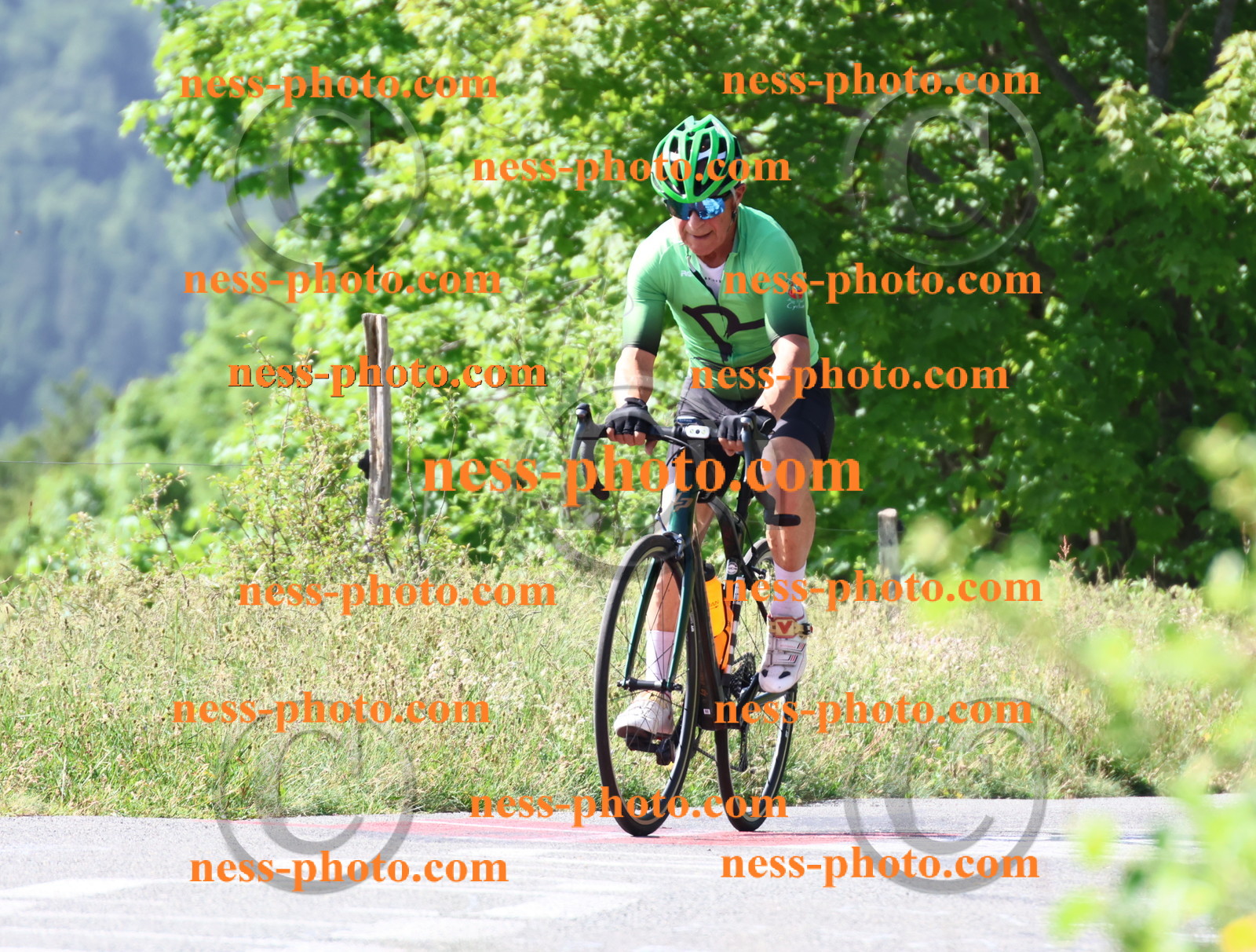 Col du grand Colombier (401).JPG