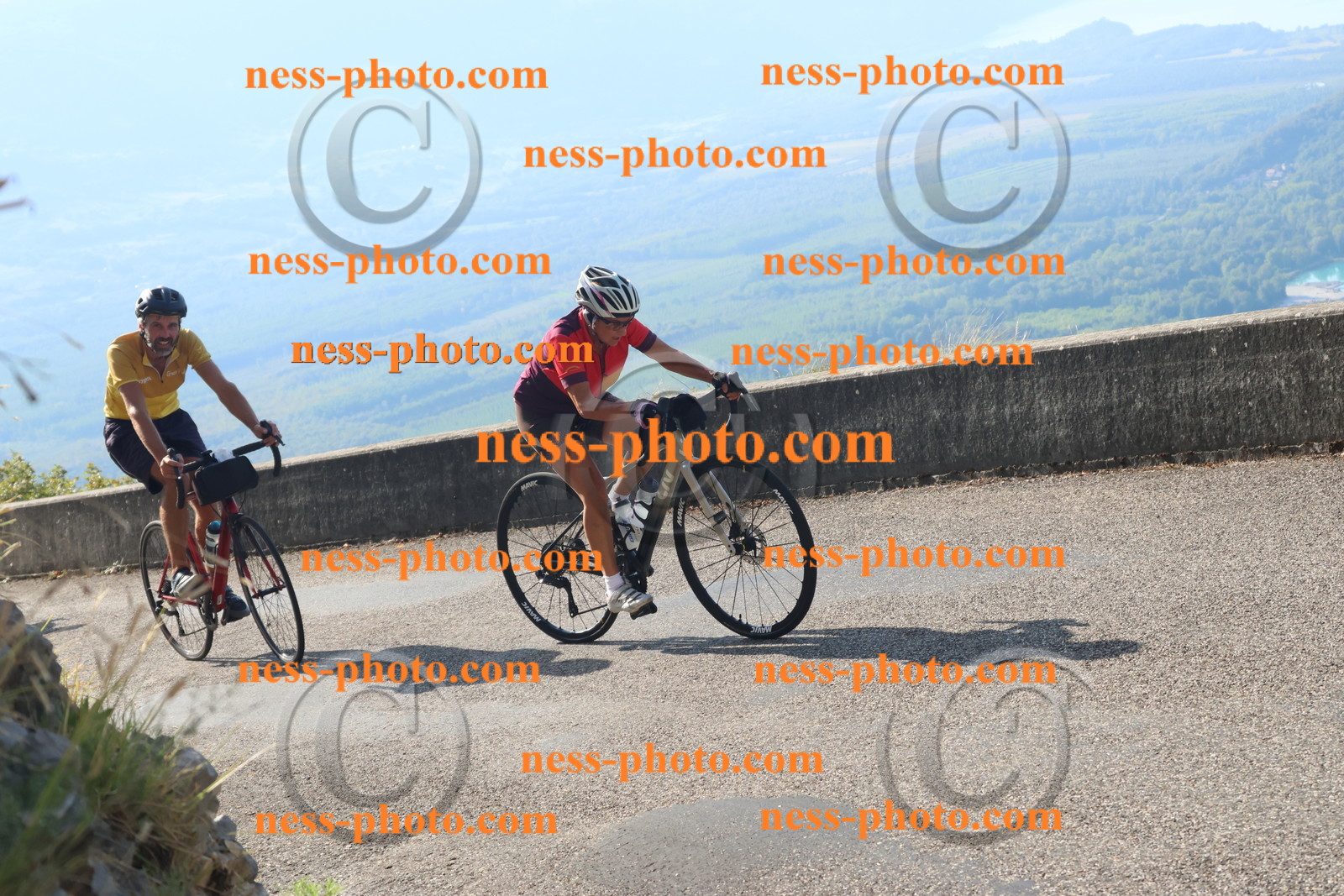 Col du Grand Colombier (1334).JPG