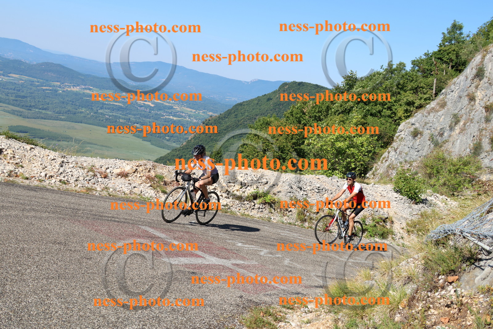 Col du Grand Colombier (1161).JPG