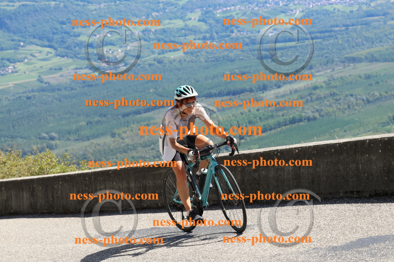 Col du Grand Colombier (723).JPG