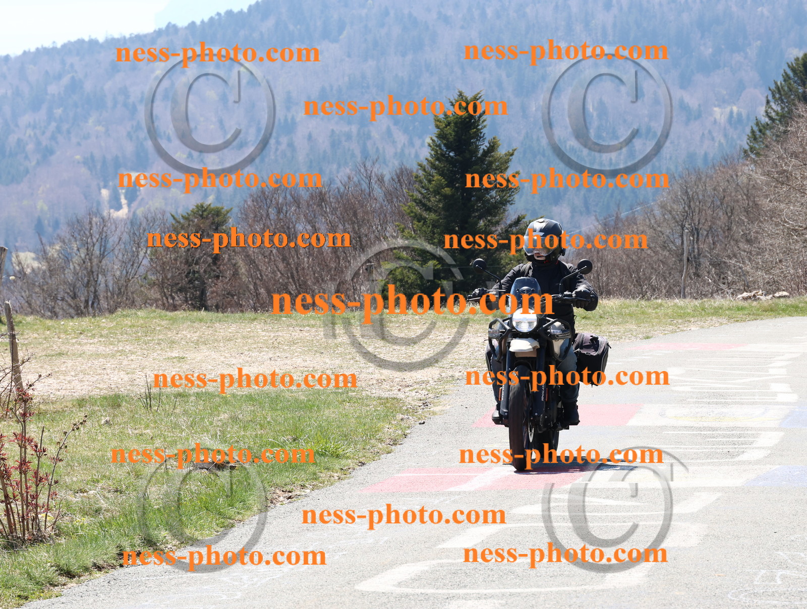 Col  du Grand Colombier (11).JPG